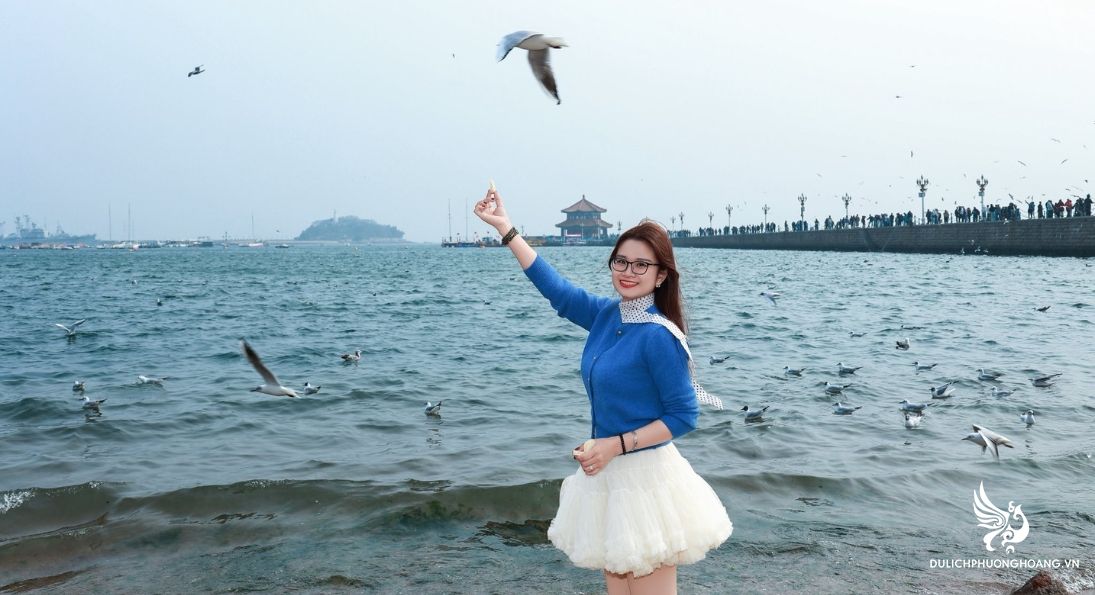 tour-thanh-dao-uy-hai-yen-dai-6n5d-|-que-huong-bia-tsingtao_6